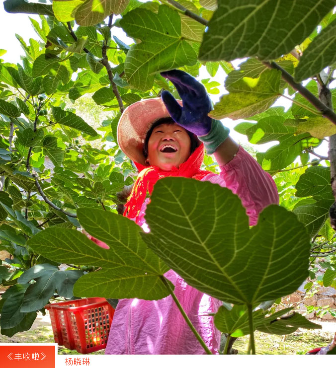 广东会vip·贵宾厅(集团)官方网站