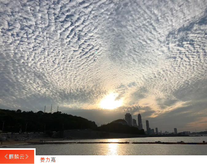 广东会vip·贵宾厅(集团)官方网站