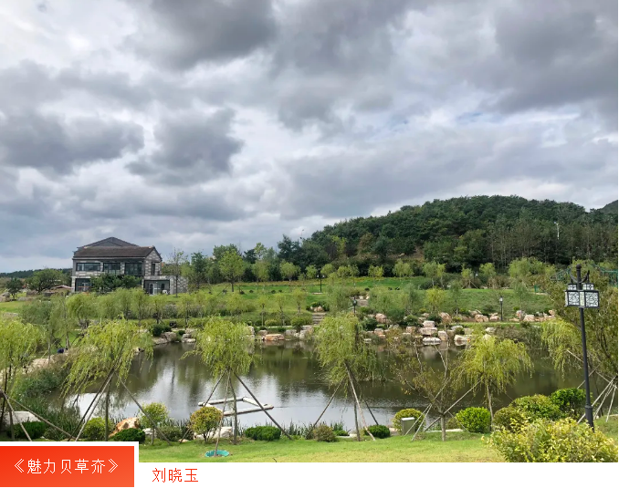 广东会vip·贵宾厅(集团)官方网站