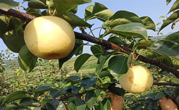 广东会vip·贵宾厅(集团)官方网站