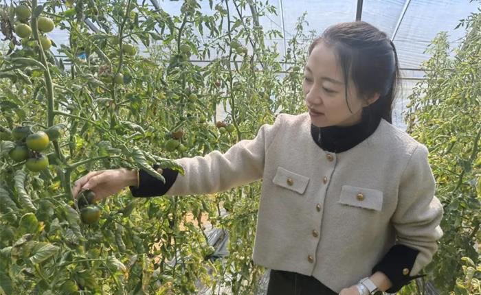 广东会vip·贵宾厅(集团)官方网站